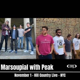 Marsoupial with Peak  image