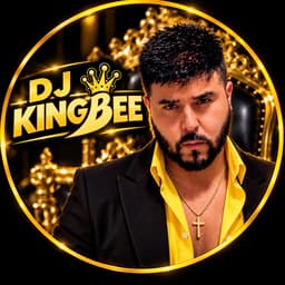 Djkingbee image