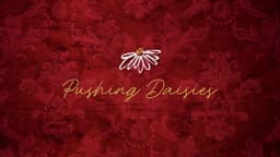 Pushing Daisies image