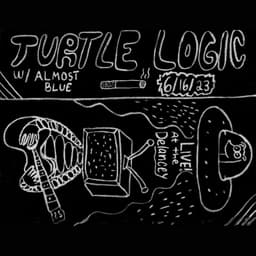 Turtle Logic, Almost Blue, MER image