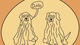 Ditto. image