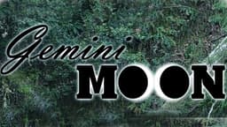 Gemini Moon image