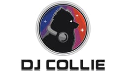 Collie image