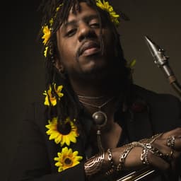 The Sunflower King image