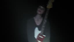 LINNEA image