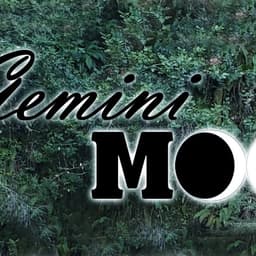 Gemini Moon image