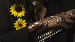 The Sunflower King image